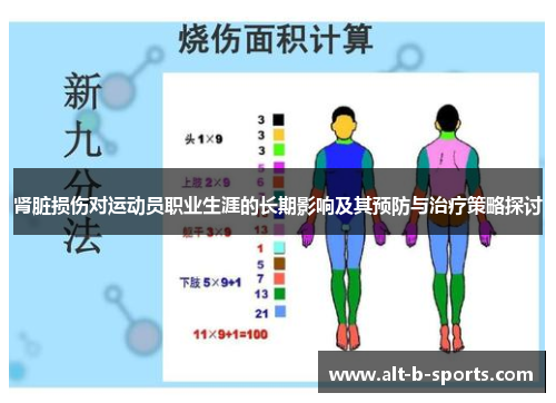 肾脏损伤对运动员职业生涯的长期影响及其预防与治疗策略探讨