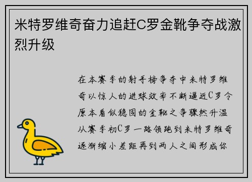 米特罗维奇奋力追赶C罗金靴争夺战激烈升级